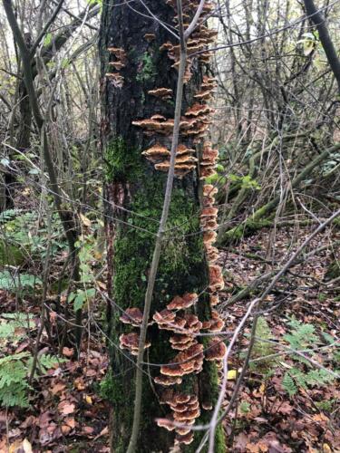 04dda5d1-7db5-4f7a-8a81-af87070cda69