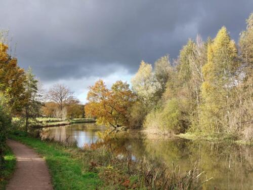 080c80a8-77b2-448d-83df-9eddc1862a56