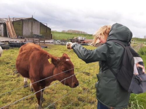 2961144b-c85a-4cbc-882e-ab3c77c406ea