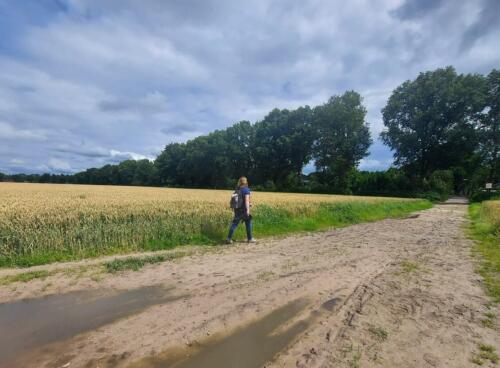 4688e042-3f89-4999-a1a4-90cda7c46d82