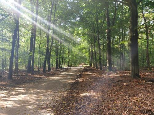 4d7df50e-b8bb-4581-af4b-702a2c695342