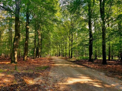 eca002b2-ec66-4e9c-9870-23e61c4871d5