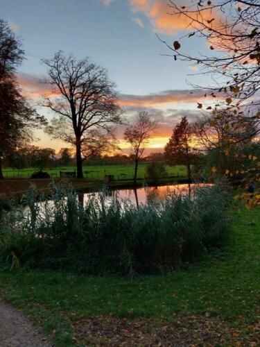 fd0864b6-0da3-48ff-aea5-6ae72a809fb5